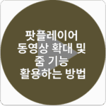 팟플레이어 동영상