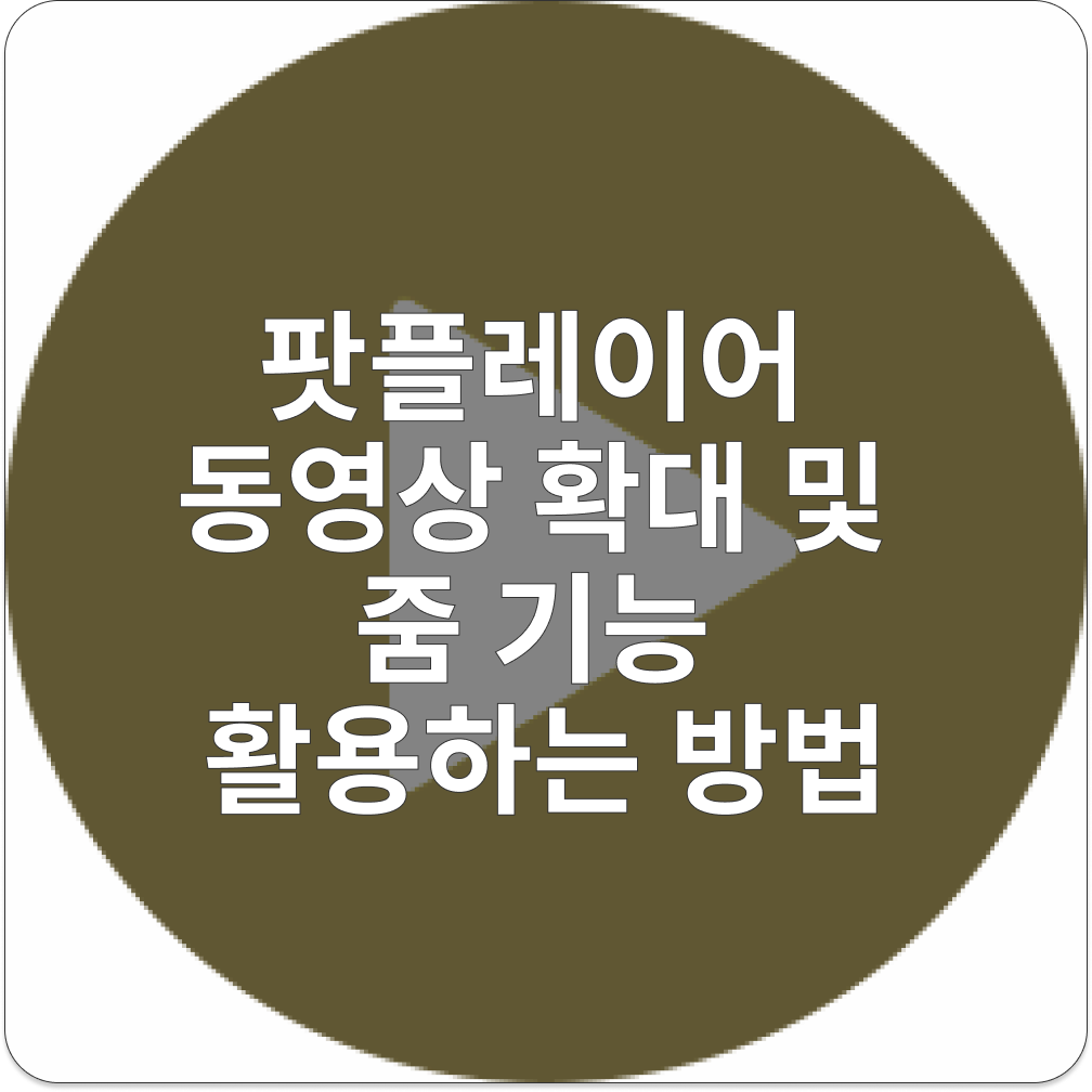 팟플레이어 동영상