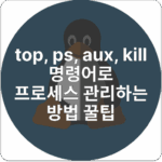 top, ps, aux, kill 명령어