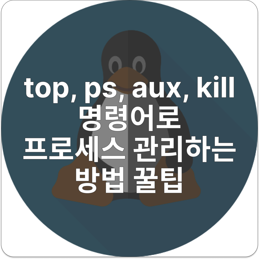 top, ps, aux, kill 명령어