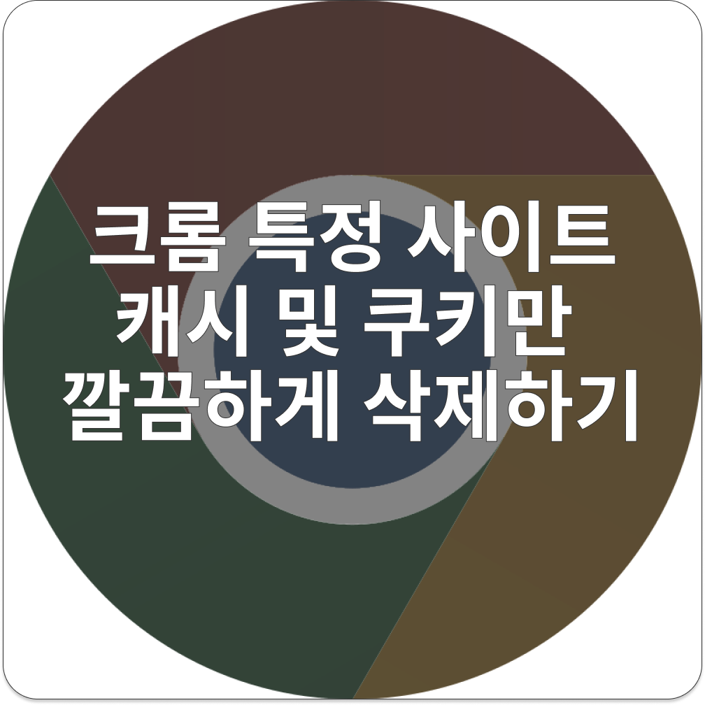 크롬 특정 사이트 캐시 삭제
