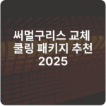 써멀구리스 교체