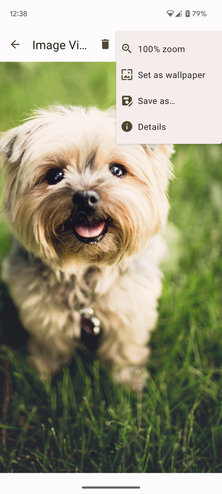 FastStone Image Viewer 스크린샷 3