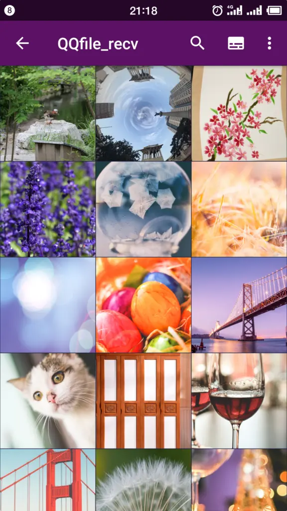 Gallery 다운로드