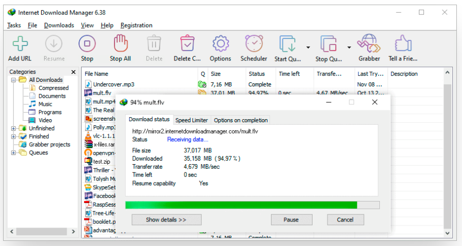Internet Download Manager 다운로드
