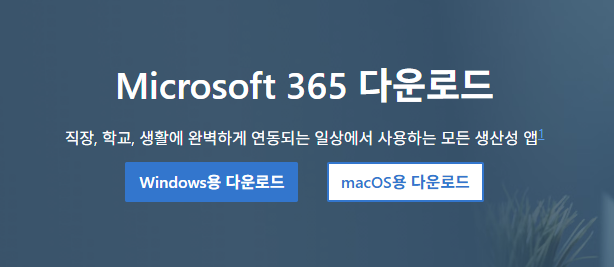 오피스365다운로드