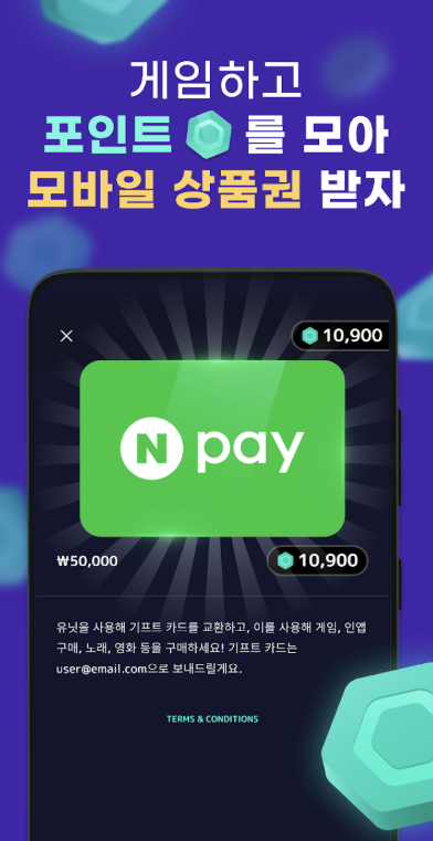벤자민 키우기 다운로드