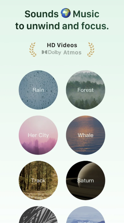 타이드 다운로드