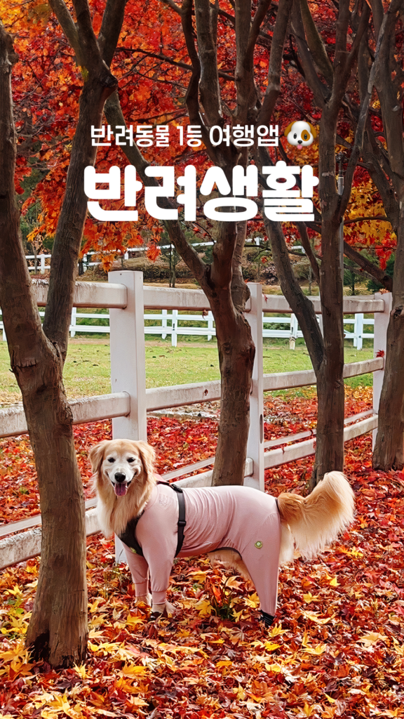 반려생활 앱 다운로드