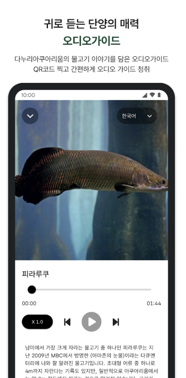 단양갈래다운로드