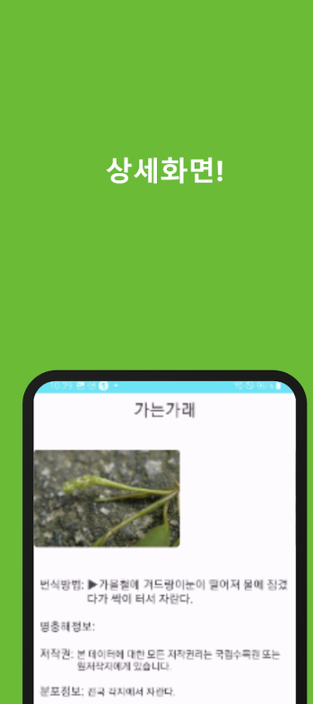 식물도감 다운로드
