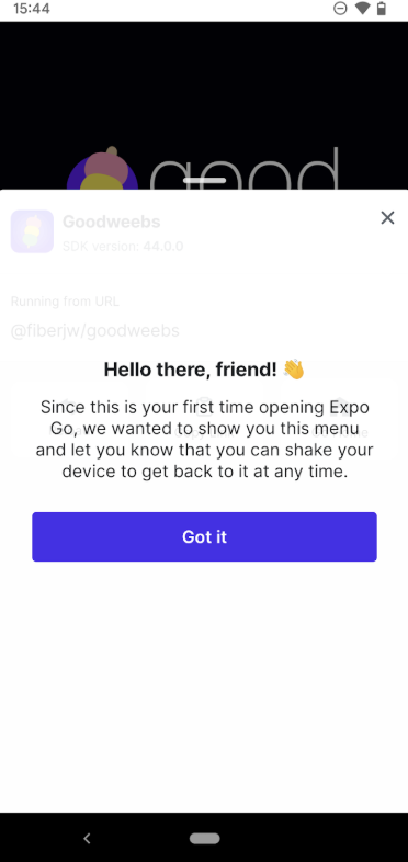 Expo Go 다운로드