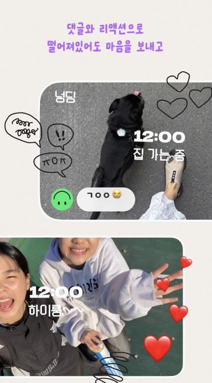 셋로그 다운로드