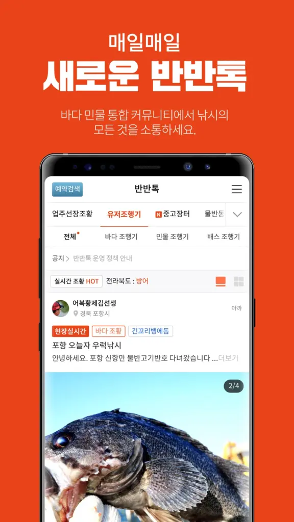 물반고기반 다운로드